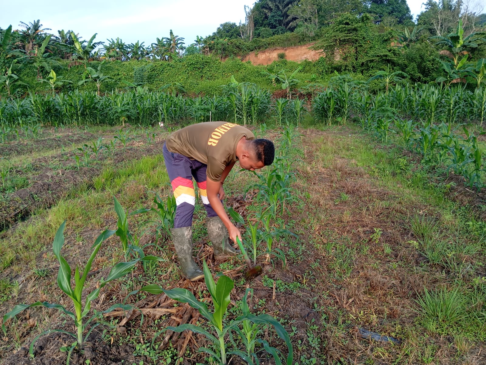 Batalyon B Pelopor Brimob Kaltim Lestarikan P2L, Wujudkan Ketahanan Pangan Mandiri