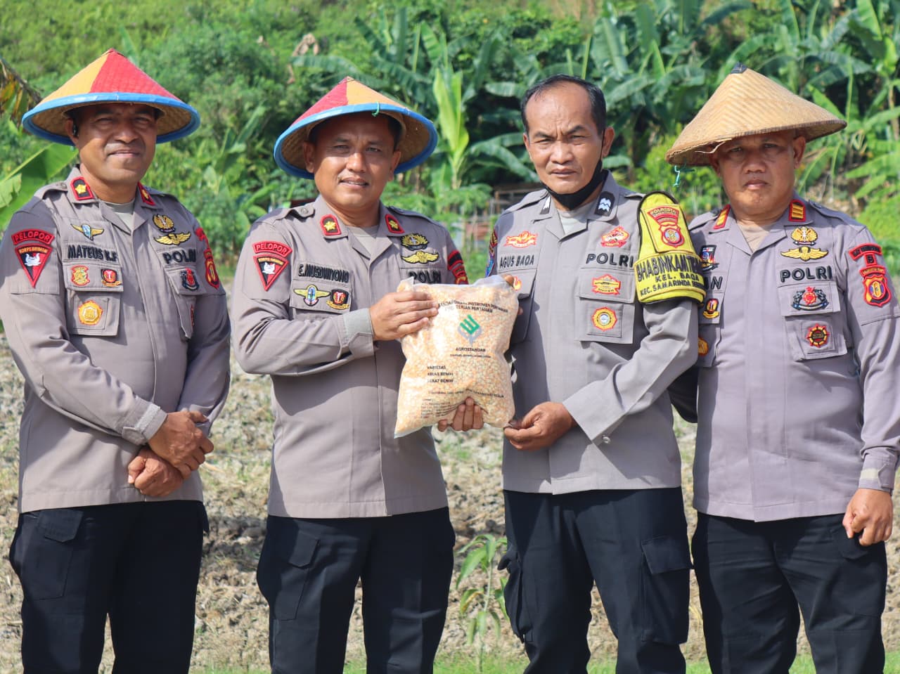 Dukung Ketahanan Pangan Nasional, Batalyon B Pelopor Brimob Kaltim Tanam Jagung di Lahan Mako Samarinda Seberang