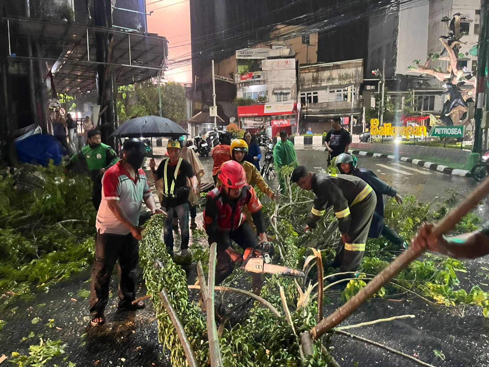 Brimob Bantu Evakuasi Pohon Tumbang di Jl. MT. Haryono Kota Balikpapan