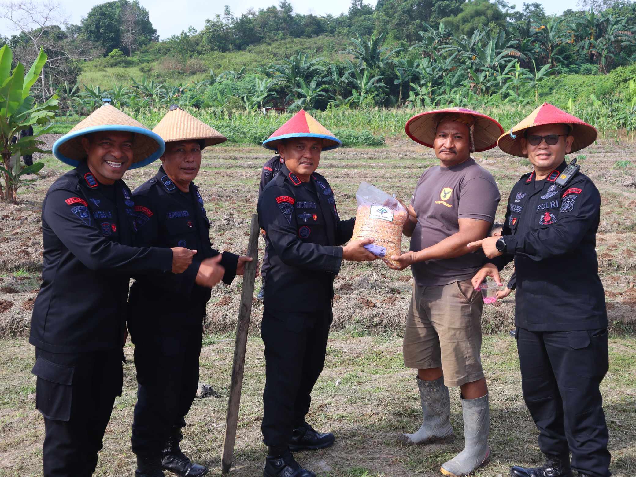 Dukung Ketahanan Pangan Nasional, Batalyon B Pelopor Brimob Kaltim Tanam Jagung di Lahan Seluas 1 Hektare