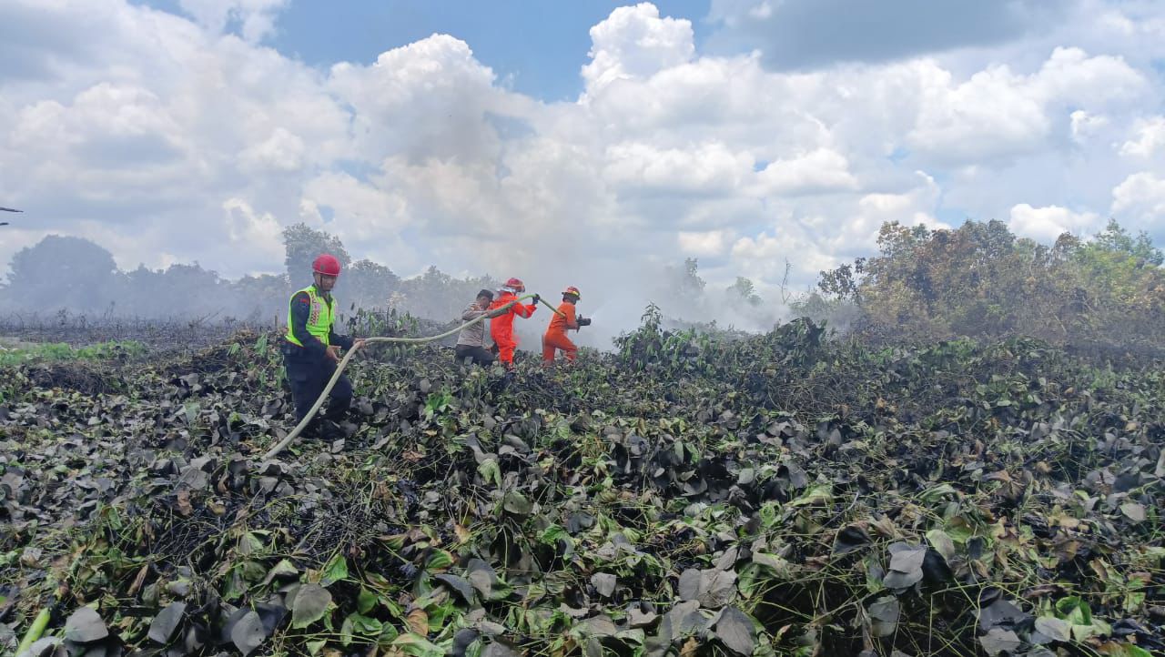 Gerak Cepat Atasi Karhutla, Brimob Batalyon C Pelopor Turunkan Rantis AWC Padamkan Lahan di Tanah Grogot