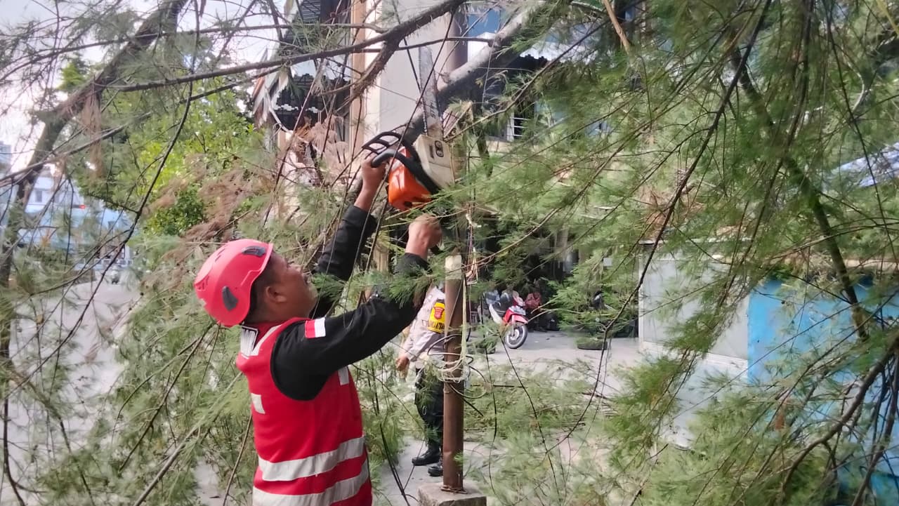 Brimob Respons Cepat Evakuasi Pohon Tumbang di Rapak Balikpapan