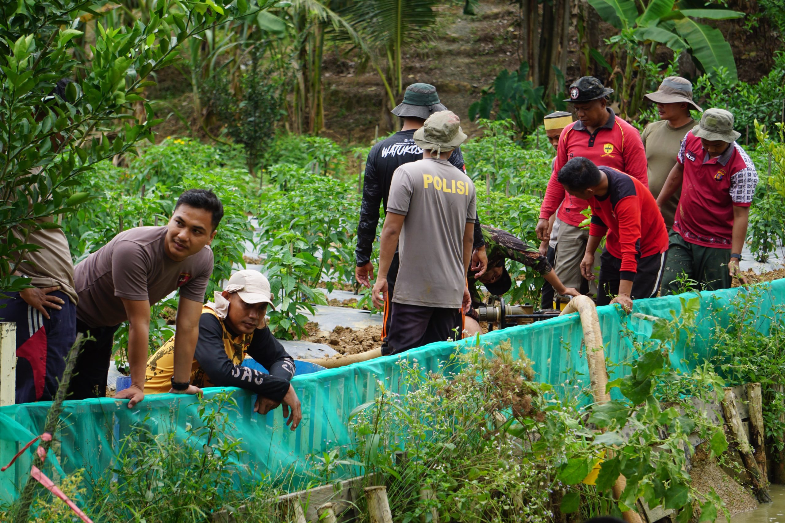 Dukung Ketahanan Pangan, Batalyon C Pelopor Brimob Kaltim Gelar Panen Ikan Hasil Budidaya
