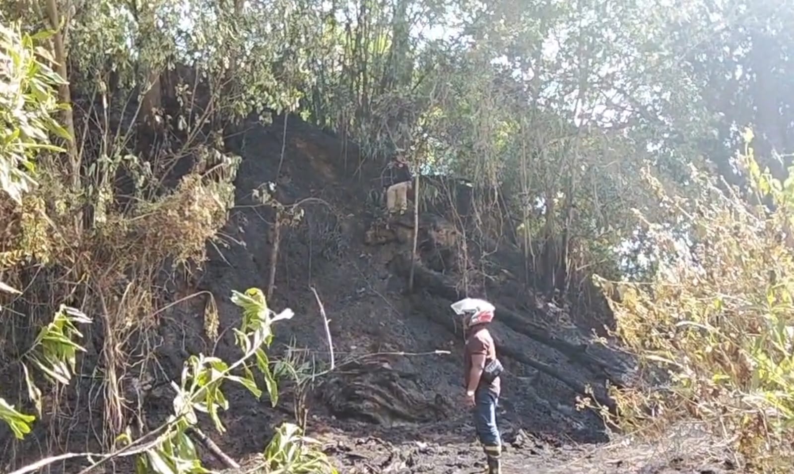 Respons Cepat Kebakaran Lahan, Piket Respons Bencana Batalyon A Pelopor Tangani Karhutla di Gunung Malang