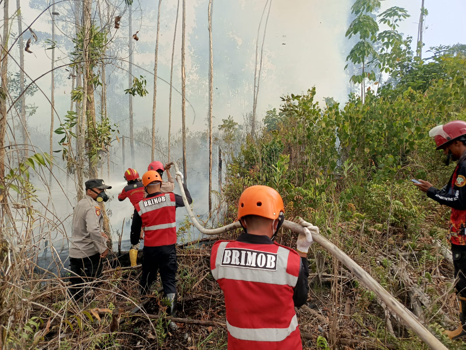 Cegah Bahaya Karhutla, Tim Respons Bencana Kompi 3 Batalyon C Pelopor Koordinasi Pemadaman Lahan di Berau
