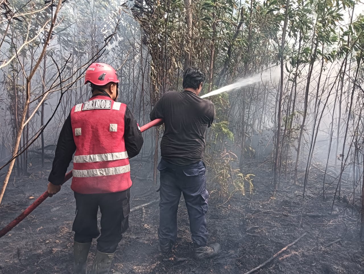 Aksi Heroik Brimob Padamkan Kebakaran Lahan Hampir Menjalar ke Perumahan Sepinggan