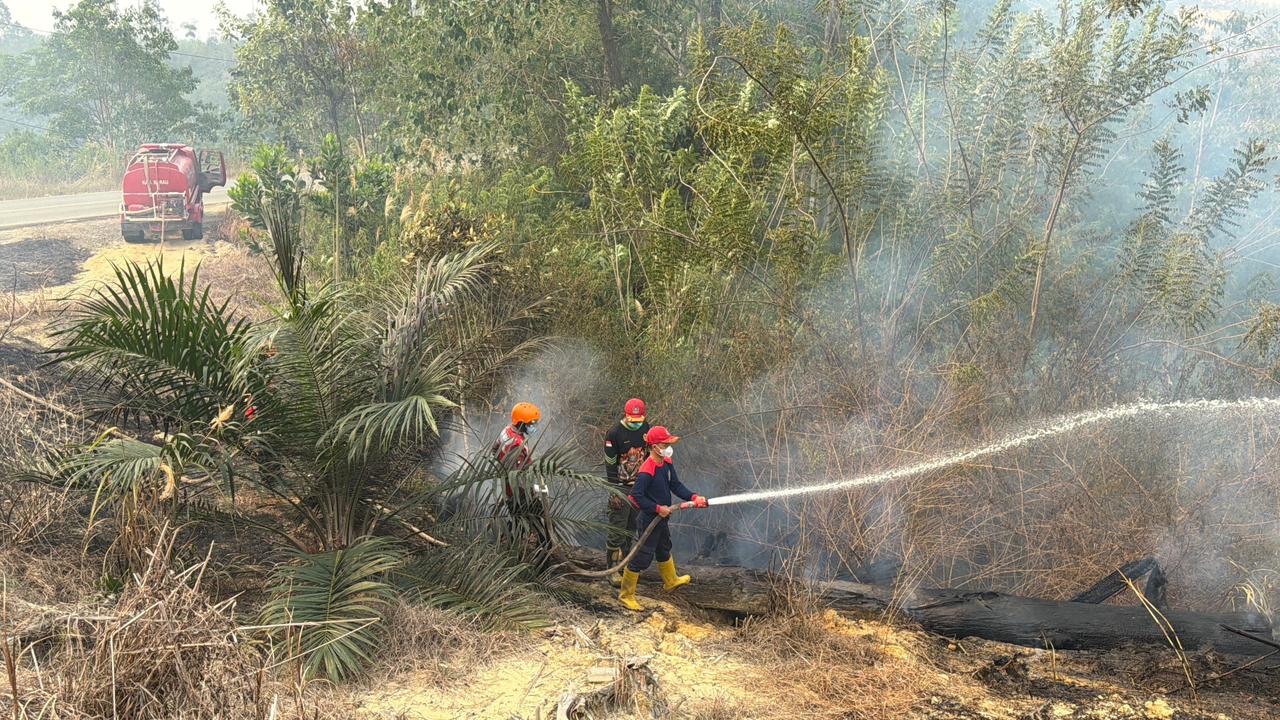 Tanggap Kendalikan Titik Api, Satgas Karhutla Kompi 3 Batalyon C Pelopor Brimob Kaltim Padamkan 5 Hektare Lahan di Berau